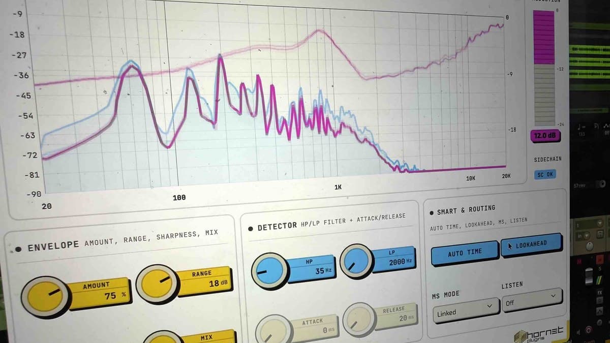 HoRNet SpectraDuck spectral sidechain ducker with input, output and gain-reduction curves on screen